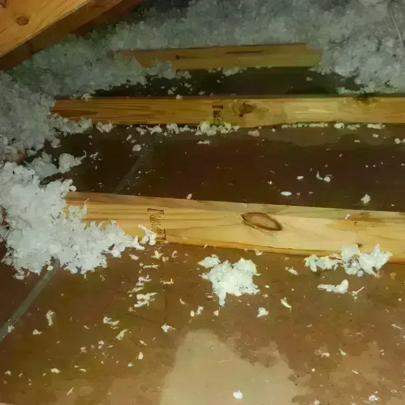 Attic Water Damage in Rutland County, VT